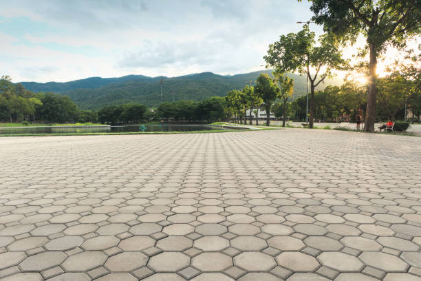 Best Best Driveway Pavers  in Middleport, NY